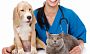 Охрана труда в ветеринарии. Как организовать охрану труда в ветеринарной клинике