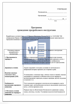 Программа проведения предрейсового инструктажа по БДД ( безопасность перевозок )