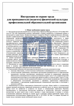 Инструкция по охране труда для преподавателя ( педагога ) физической культуры в профессиональной образовательной организации ( колледже )