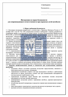 Инструкция по мерам безопасности для сопровождающего при перевозке детей автобусом