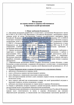 Инструкция по охране жизни и здоровья обучающихся в образовательной организации