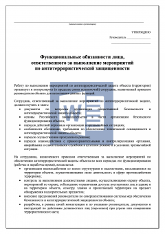 Функциональные обязанности лица, ответственного за выполнение мероприятий по антитеррористической защищенности