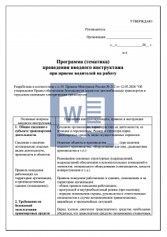 Программа проведения вводного инструктажа по БДД ( безопасность перевозок )